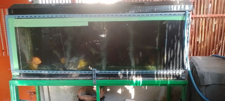 ขายตู้ปลาถูกพร้อมขา