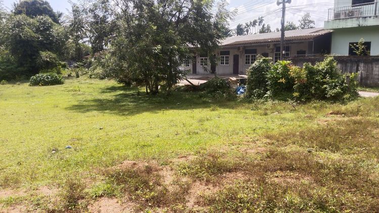 ที่ดิน มีโฉนด ระนอง รูปที่ 2