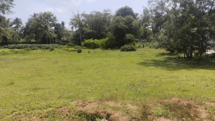 ที่ดิน มีโฉนด ระนอง