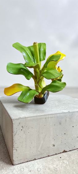 เนื้อไม้แกะต้นกล้วยตานี ถอดเ เยกชิ้นส่วนใด้ทั้งหมด รูปที่ 5