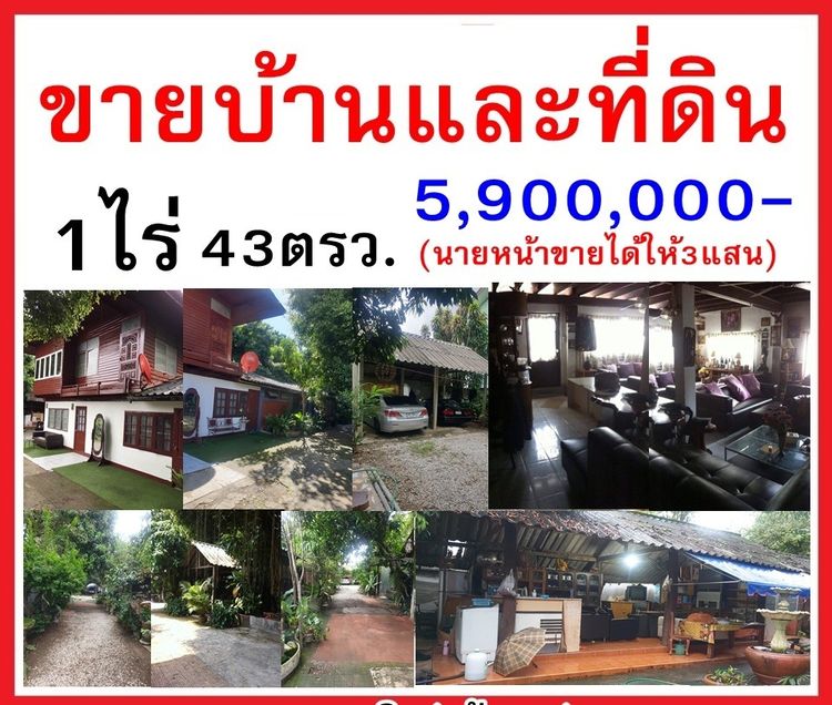 ขายบ้านพร้อมที่ดินเชียงราย 1.43ไร่ (บ้านใหญ่+เกสท์เฮ้าส์8ห้อง) ขายด่วน 5.9ล้าน รูปที่ 2