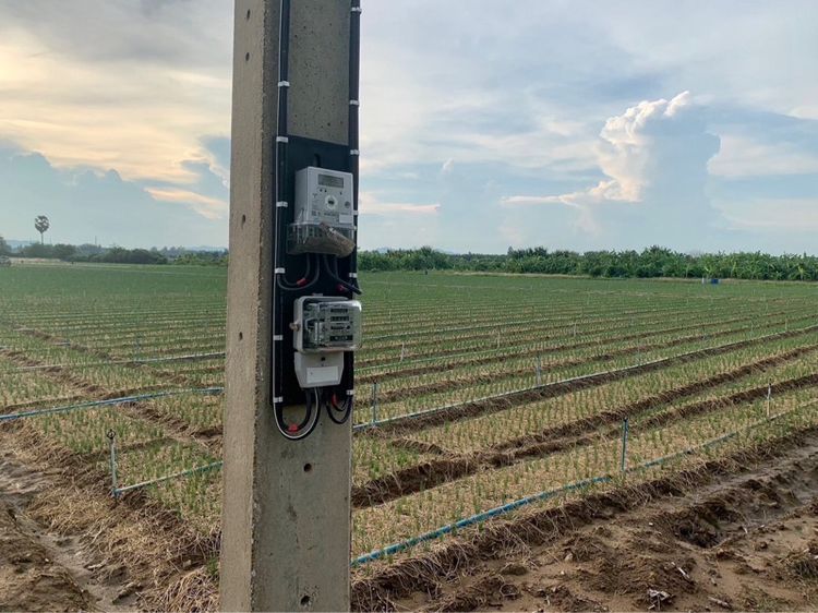 ที่ดินผืนใหญ่ทำเลดี10ไร่ โฉนดครุฑแดงพร้อมโอน ใกล้เทศบาลวังศาลา เข้าออกได้หลายทาง ติดถนนสาธารณะ ใกล้ทางด่วนM81 วิวสวย บรรยากาศดี รูปที่ 4