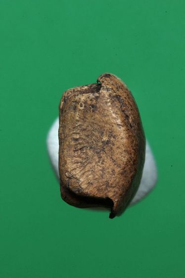 พระรอดค่ะ รูปที่ 5