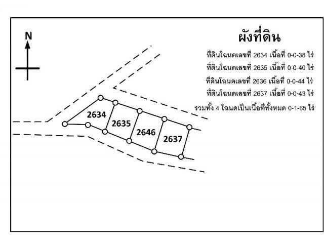 ไม่ใช่ 🌈 ขายที่ดิน สันป่าตอง-เชียงใหม่ 165 ตารางวา รูปที่ 3