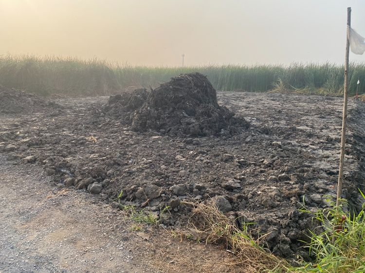 ขายที่เปล่า 101 ตรว.ไกล้ คลังสินค้าICD -ลาดกระบัง รูปที่ 4