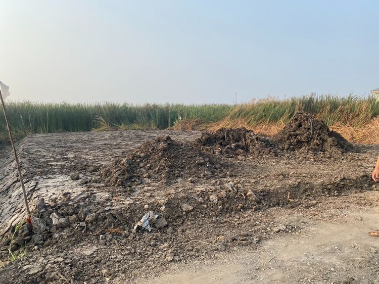 ขายที่เปล่า 101 ตรว.ไกล้ คลังสินค้าICD -ลาดกระบัง รูปที่ 3