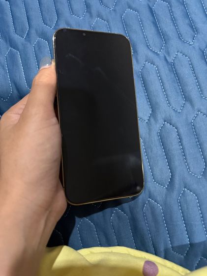 iPhone 13 promax 256