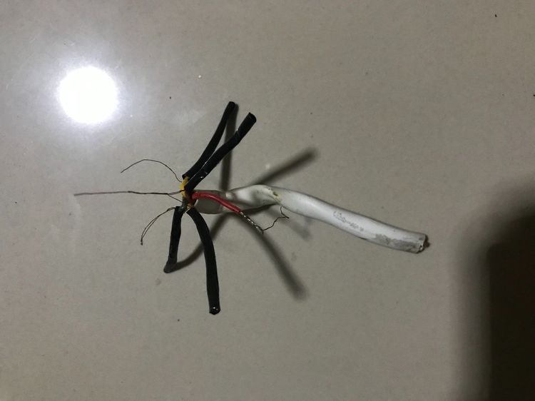 อะไหล่ มอเตอร์พัดลม คอยล์พัดลม สเตเตอร์ ใช่ทดแทนพัดลม16นิ้ว เหล็กหนา20มิล มอเตอร์พัดลม คอยล์พัดลม สเตเตอร์ ใช่ทดแทนพัดลม16นิ้ว เหล็กหนา20มิล รูปที่ 12