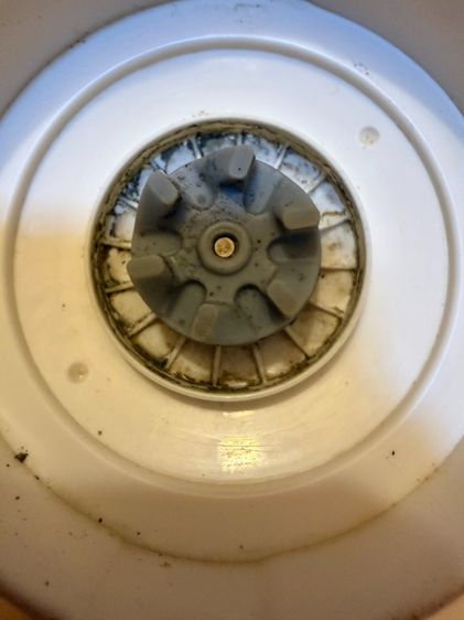 เครื่องปั่น Toshiba 1.5 ลิตร 700 วัตต์ bl-t70pr1 แรงดี ปั่นง่าย🔥🔥จัดส่งภายใน1วัน🔥🔥 รูปที่ 6