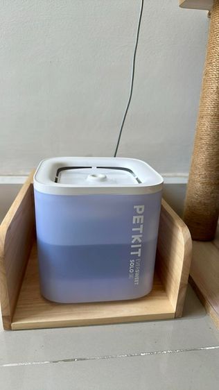 ชาม ที่ให้อาหารและน้ำพุ น้ำพุแมว