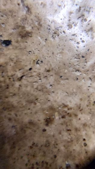 พระสมเด็จ เก่า สวย รูปที่ 4