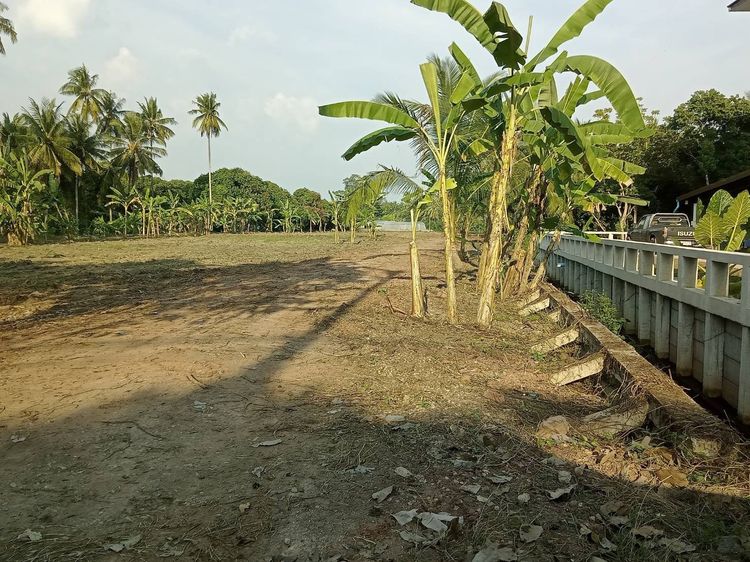 ที่ดินสวยท้องแอ่งท้องมังกร เจ้าของที่ดินทำธุรกิจTOP 10 ประเทศ รูปที่ 3