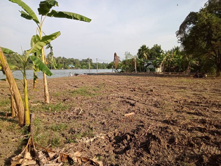 ที่ดินสวยท้องแอ่งท้องมังกร เจ้าของที่ดินทำธุรกิจTOP 10 ประเทศ รูปที่ 4