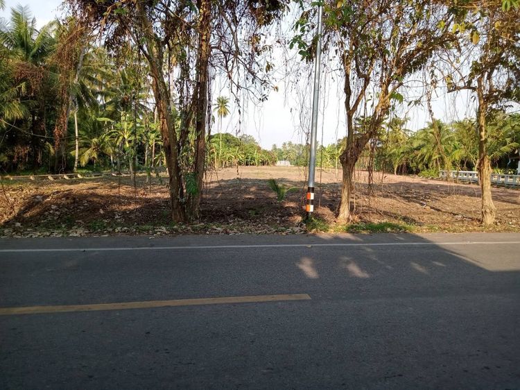 ที่ดินสวยท้องแอ่งท้องมังกร เจ้าของที่ดินทำธุรกิจTOP 10 ประเทศ รูปที่ 2