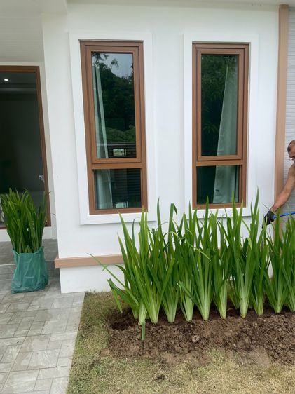 ให้เช่าบ้านเดี่ยว ท่ามะกา กาญจนบุรี