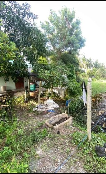 บ้านพร้อมที่ดิน