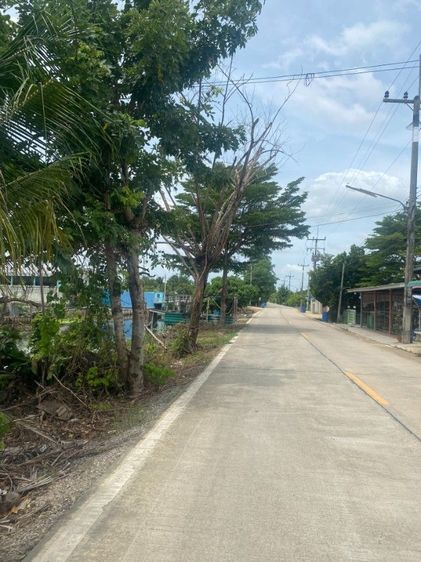 บ้านพร้อมที่ดิน รูปที่ 3