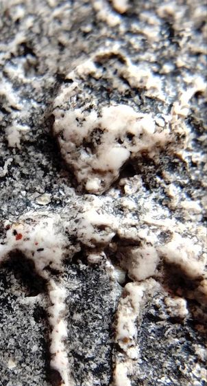 พระสมเด็จ วัดระฆัง บางขุนพรหม วัดเกศไชโย หลวงปู่ภู หลวงปู่นาค รูปที่ 2