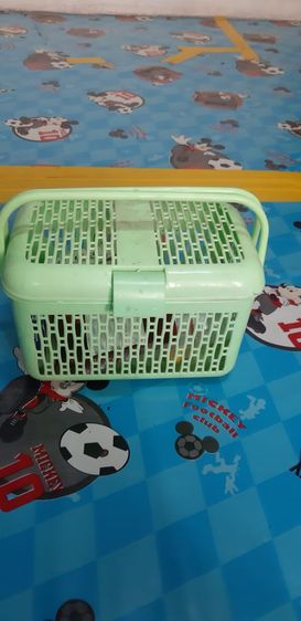 ตระกร้า รูปที่ 4