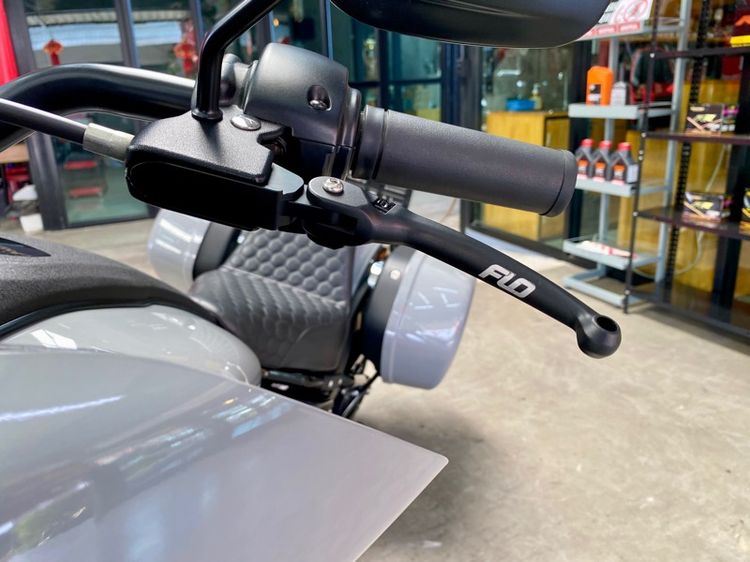 Harley-Davidson Low Rider ST 117 (2024) รูปที่ 15