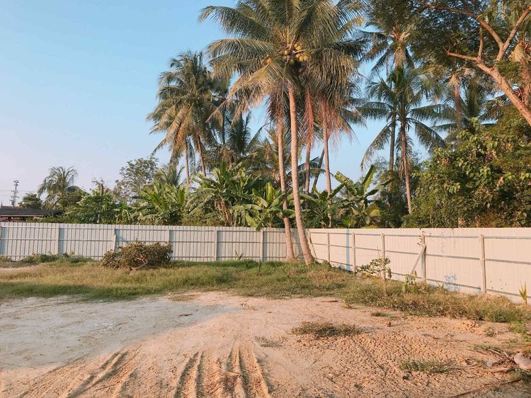 ที่ดินปลูกบ้าน 391ตรว.7.5แสน