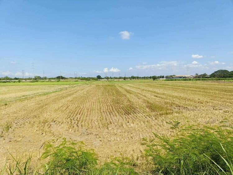 ที่ดินสวว