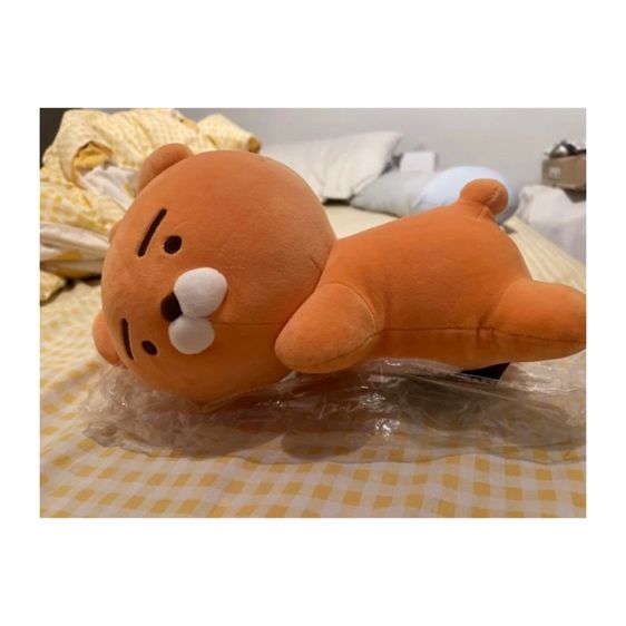 ตุ๊ดตาหมี Kaokao รูปที่ 3