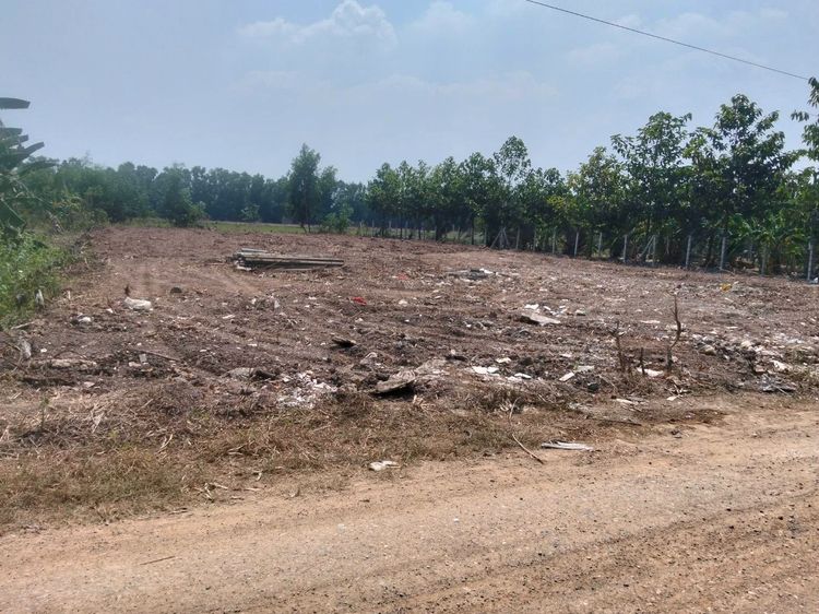 ที่ดิน 1 ไร่ คลองหลวง ถมแล้ว ใกล้มอเตอร์เวย์และตลาดไท รูปที่ 3