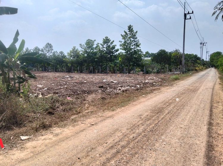 ที่ดิน 1 ไร่ คลองหลวง ถมแล้ว ใกล้มอเตอร์เวย์และตลาดไท