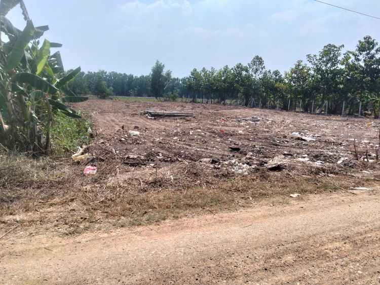 ที่ดิน 1 ไร่ คลองหลวง ถมแล้ว ใกล้มอเตอร์เวย์และตลาดไท รูปที่ 2