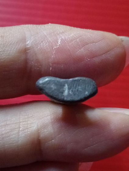 ปิดตาเก่าเก็บ รูปที่ 5