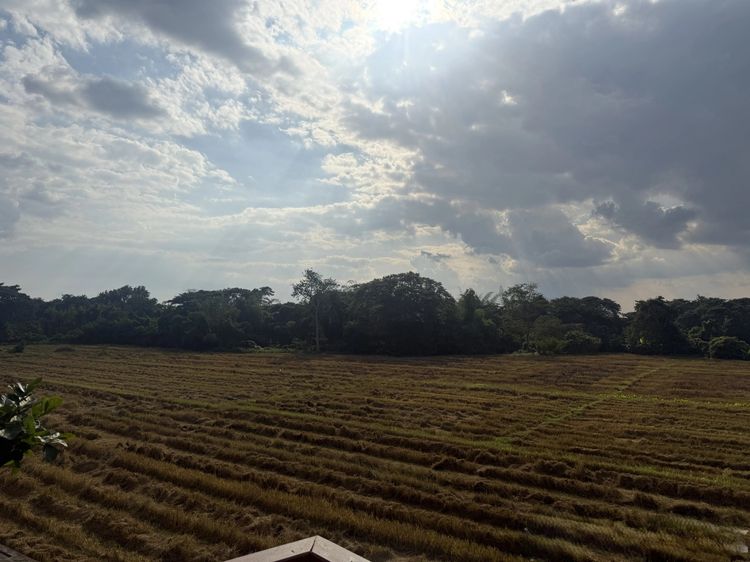 อื่นๆ ตกแต่งครบ 2018 บ้านเดี่ยวใหม่ ใกล้เมืองเชียงใหม่ 4 ห้องนอน พื้นที่ใช้สอย 240 ตร.ม. ราคาเพียง 5.5 ล้าน รูปที่ 4