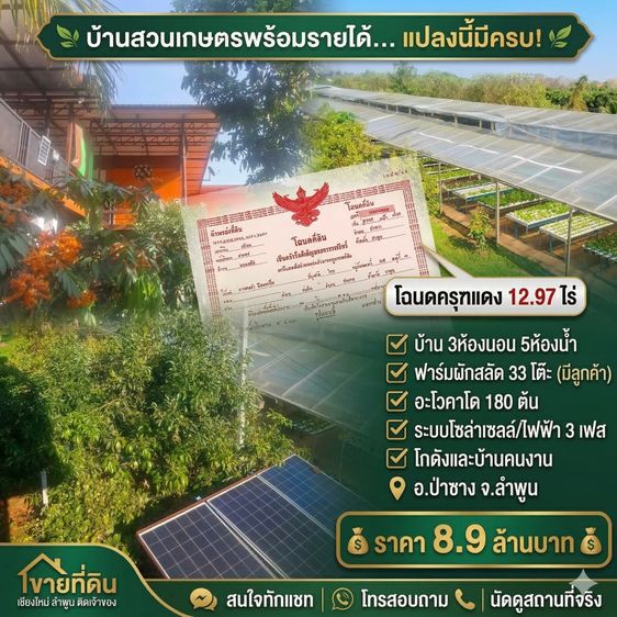 ขายสวนเกษตรพร้อมบ้าน 12.97 ไร่ ลำพูน ปลูกอะโวคาโด+ผักสลัด มีลูกค้ารับซื้อ ราคา 8.9 ล้าน