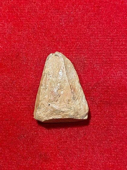 พระเนื้อดินเก่า รูปที่ 11