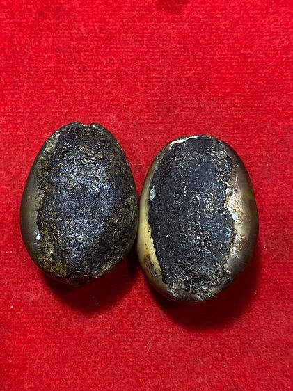 เบี้ยแก้ รูปที่ 4