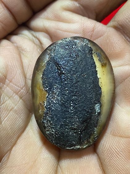 เบี้ยแก้ รูปที่ 6