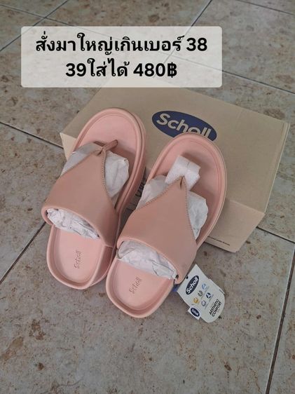 อื่นๆ รองเท้าแตะแบบลำลอง อื่นๆ UK 5 | EU 38 | US 6.5 ชมพู ส่งต่อรองเท้าscholl เพื่อสุขภาพ ไซต์38 (เบอร์5)