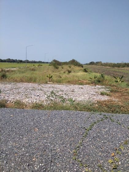 ใช่ ขายด่วน รูปที่ 2