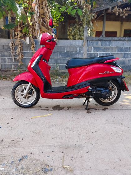 GLANDFILANO 125 รูปที่ 6