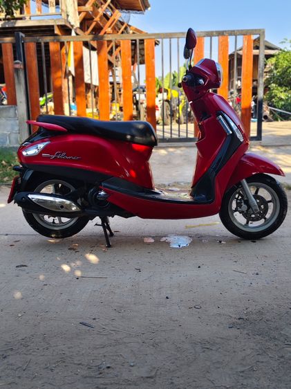 GLANDFILANO 125 รูปที่ 4