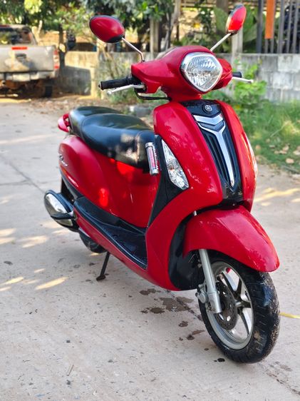 GLANDFILANO 125 รูปที่ 2