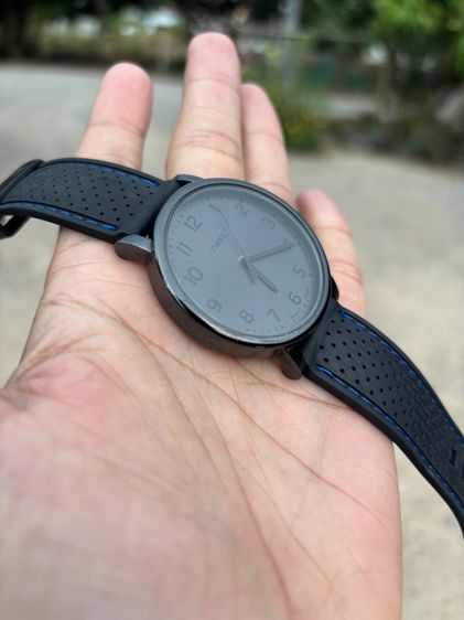 TIMEX รูปที่ 2