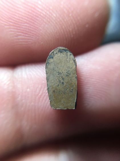 พระนาคปรกใบมะขาม รูปที่ 2