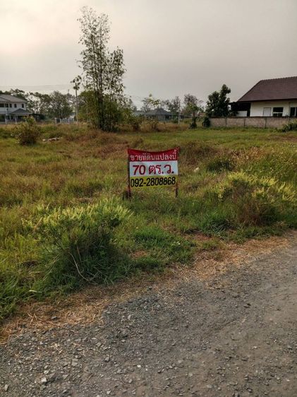 ขายที่ดิน 70 ตร.ว ท่ารั้ว ดอยสะเก็ เชียงใหม่