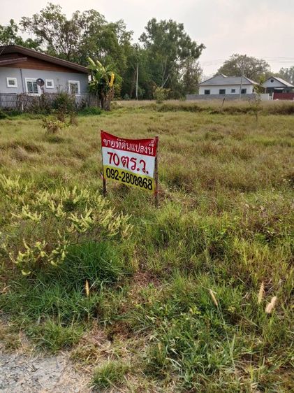 ใช่ ขายที่ดิน 70 ตร.ว ท่ารั้ว ดอยสะเก็ เชียงใหม่ รูปที่ 2