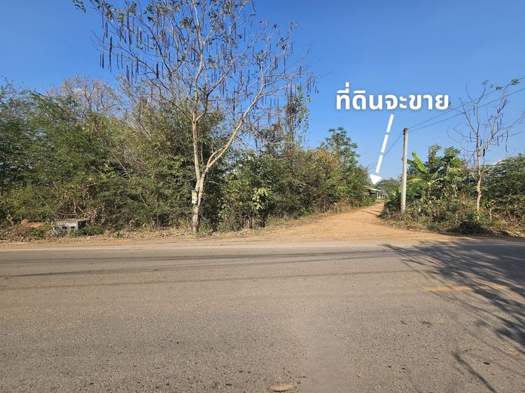 ขายที่ดินพร้อมบ้านสวน 311 ตร.ว. ใกล้ มข. มีไฟฟ้า น้ำไม่ท่วม  รูปที่ 3
