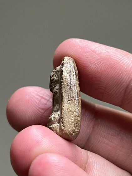 พระผงรูปเหมือน รูปที่ 3