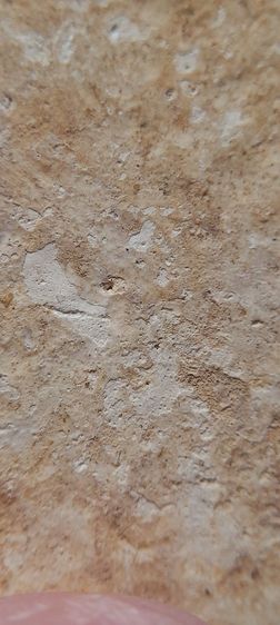 สมเด็จเกษไชโย รูปที่ 8