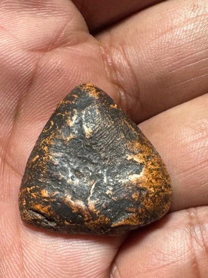 นางกำแพงคู่ รูปที่ 2