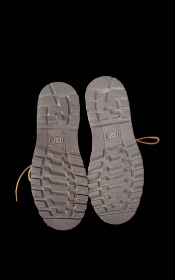 CAT 42 26cm. รูปที่ 10